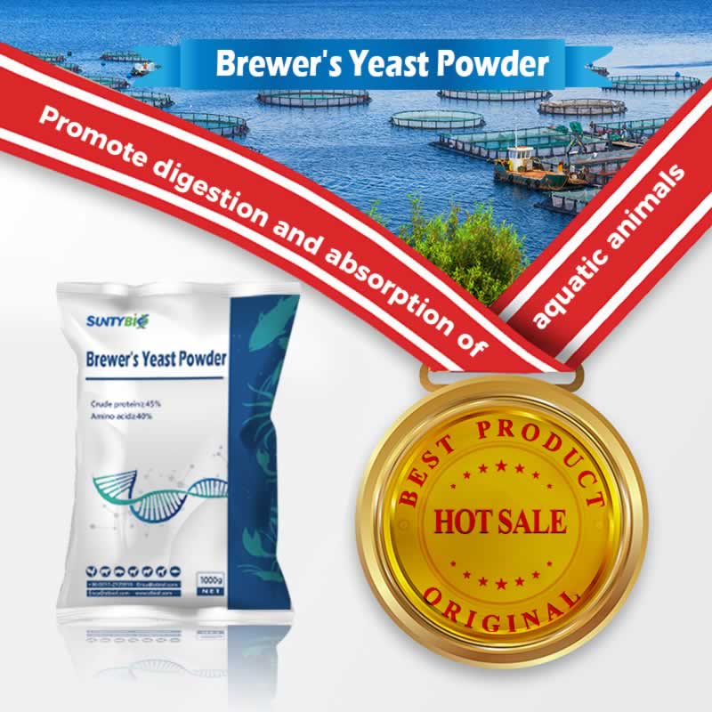 Campos de aplicación de la levadura de cerveza de grado alimenticio