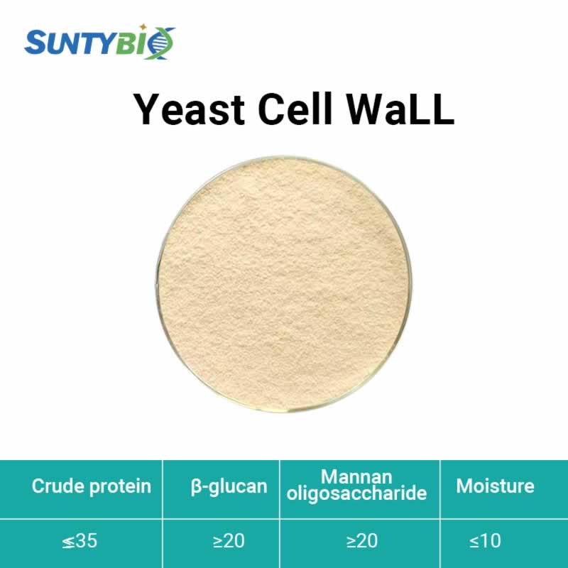 Yeast cell wall