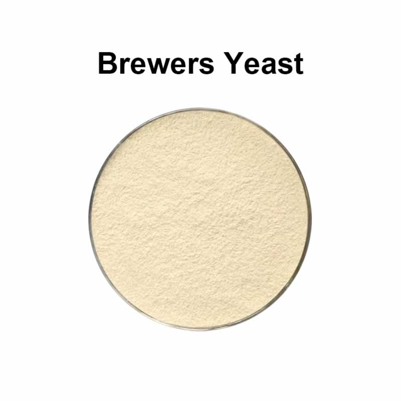Brewer's Yeast Powder